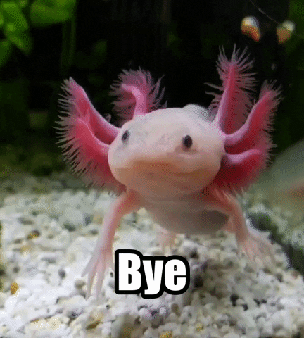 A GIF of an axolotl waving towards the camera.

The caption says "Bye".